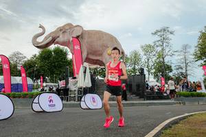 BIB: 
                            <button type="button" onclick="openModal(26528710)" class="btn btn-primary btn-sm float-right btn-popup" data-toggle="modal" data-target=".modal-high-quality">
                        <i class="fas fa-shopping-cart"></i> Add to Cart
                    </button>
                                            <button type="button" onclick="isThisMe(26528710, true)" class="btn btn-success btn-sm float-right btn-popup btn-isme hidden" data-toggle="tooltip" data-placement="bottom" title="นี่คือรูปของคุณใช่ไหม คลิกที่นี่เพื่อเอาเข้าอัลบั้ม">
                        <i class="fas fa-plus"></i> Add to album
                    </button>
                    <button type="button" onclick="isThisMe(26528710, false)" class="btn btn-warning btn-sm float-right btn-popup btn-isnotme hidden">
                        <i class="fas fa-ban"></i> Remove from album
                    </button>